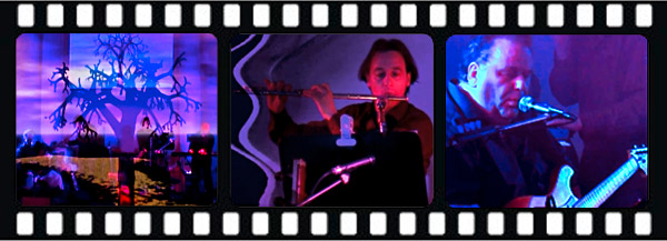 Video abspielen