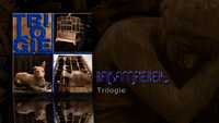 Album abspielen