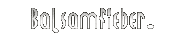Biographie in Bildern